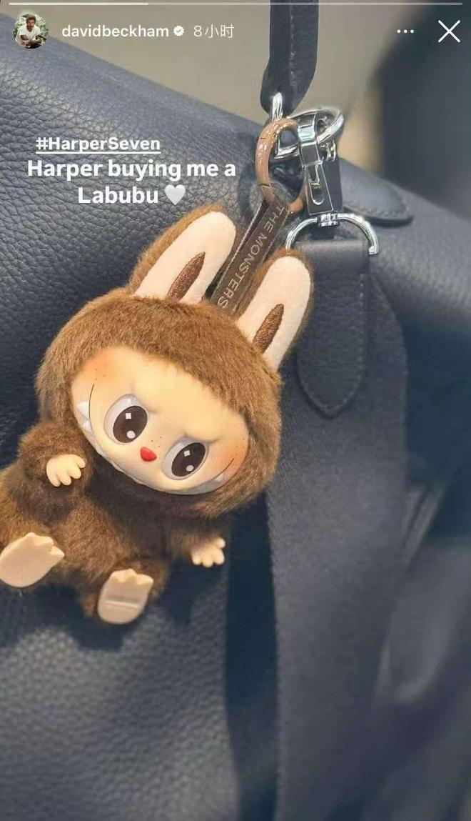 花20万买货“辣布布”们蹭流量暴富AG真人登录Labubu爆火粉丝(图2)